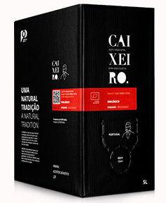 obraz_2025-10-01_165834119.png